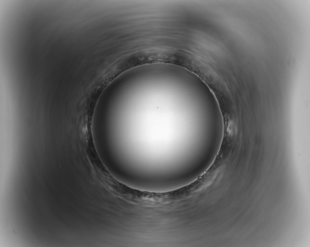 X0000099960771200805231340