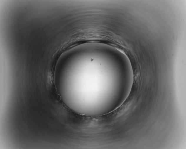 X0000099960772200805231340