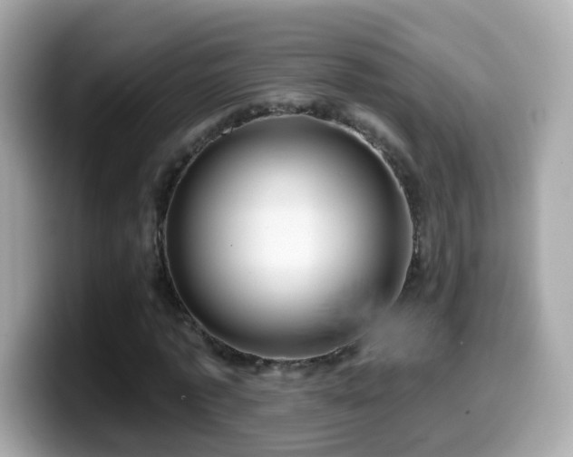 X0000099960773200805231340