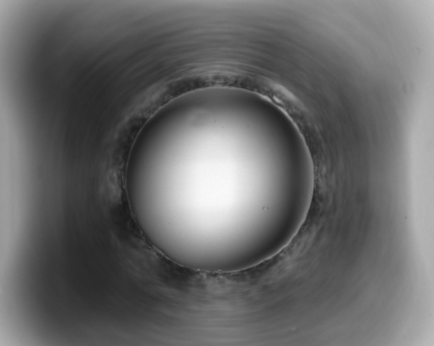 X0000099960774200805231340