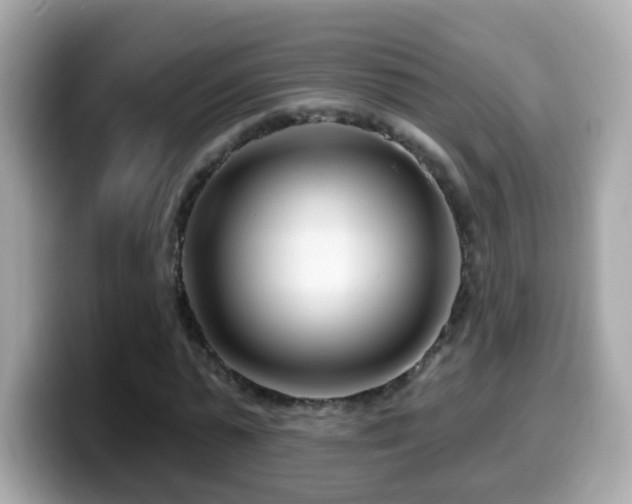 X0000099960775200805231340