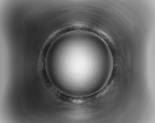 X0000099960776200805231340