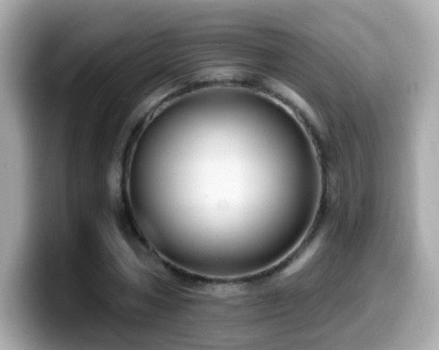 X0000099960778200805231340