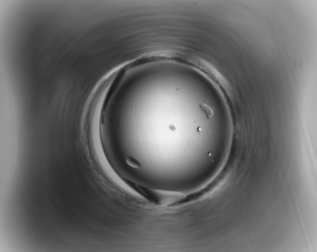 X0000099960779200805231340