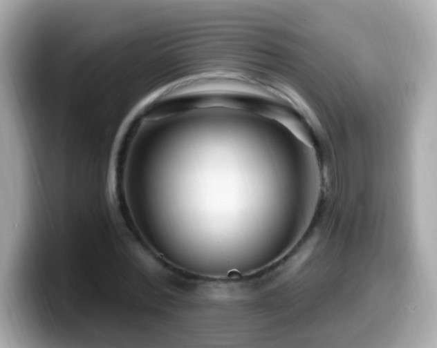 X0000099960780200805231340