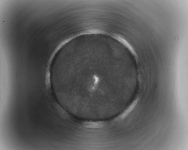 X0000099960781200805231340