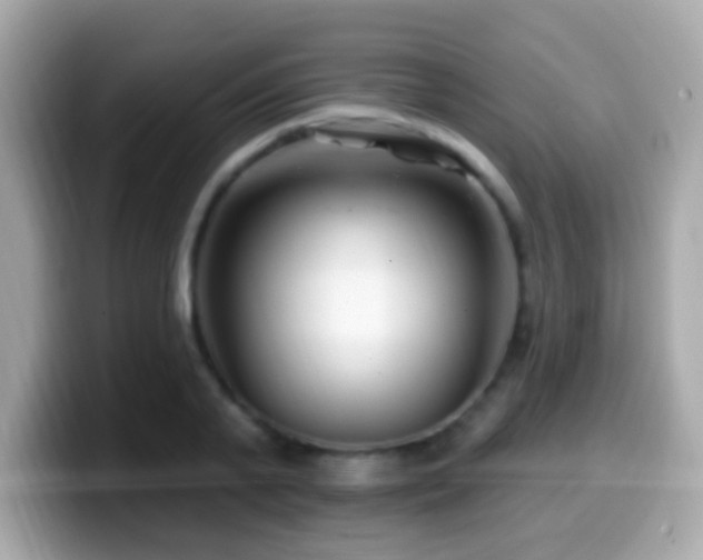 X0000099960791200805231340