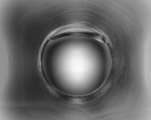 X0000099960792200805231340