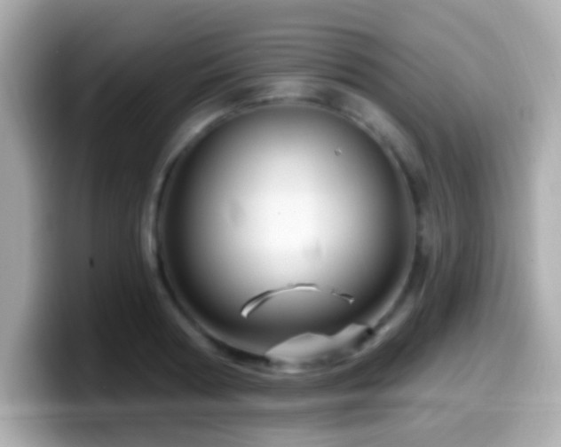 X0000099960794200805231340