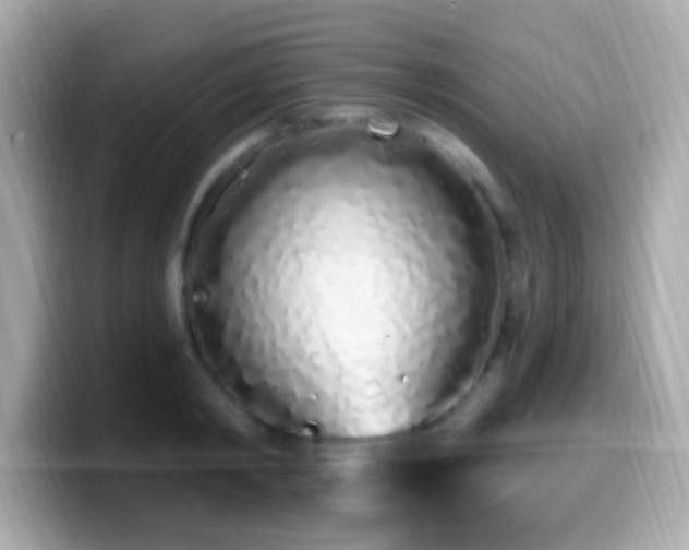 X0000099960798200805231340