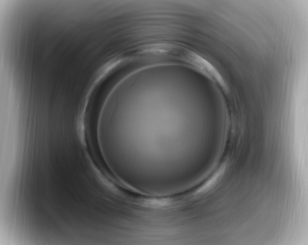 X0000099960802200805231340