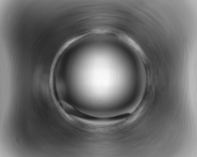 X0000099960803200805231340