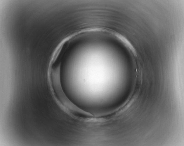 X0000099960805200805231340
