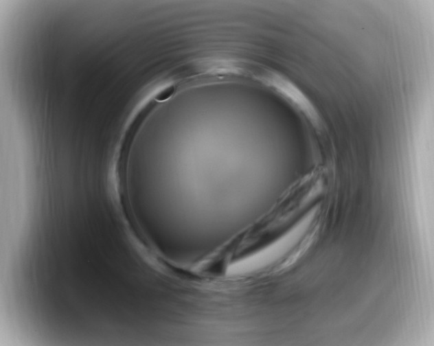 X0000099960806200805231340