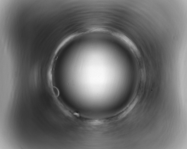 X0000099960814200805231340