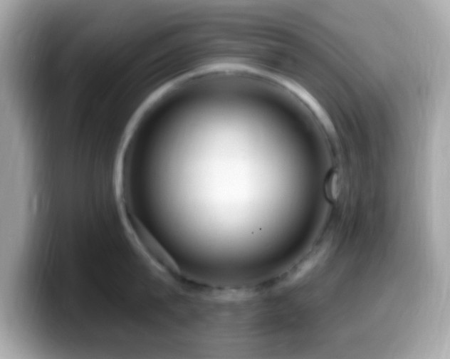 X0000099960815200805231340