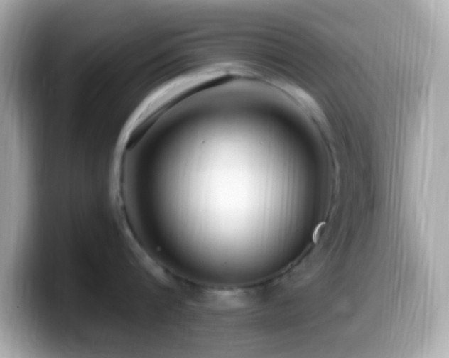 X0000099960816200805231340