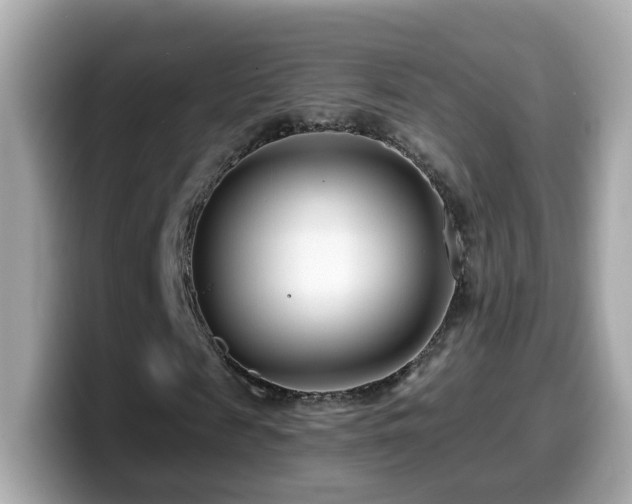 X0000099960817200805231339