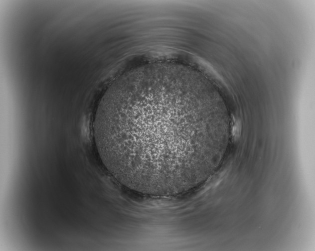 X0000099960819200805231339