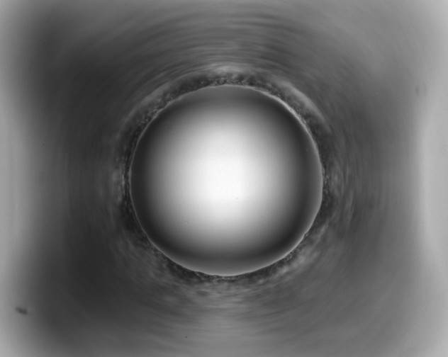 X0000099960821200805231339