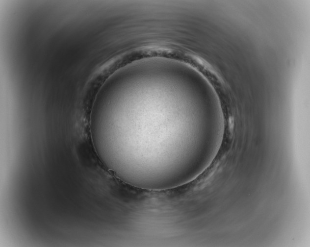 X0000099960822200805231339