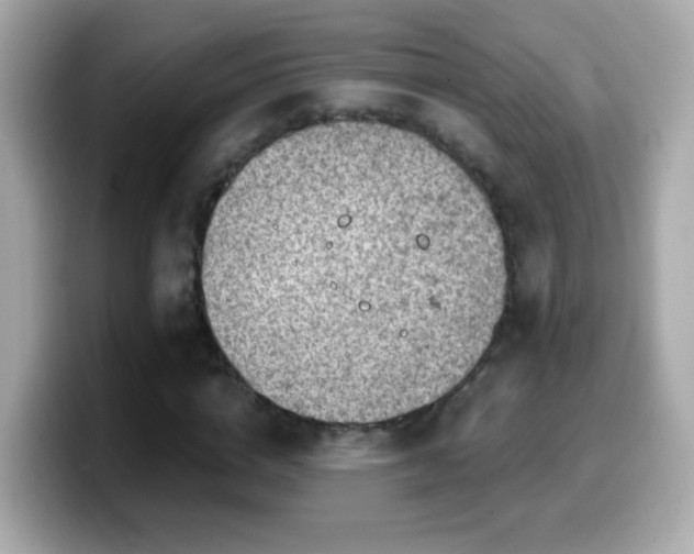 X0000099960824200805231339