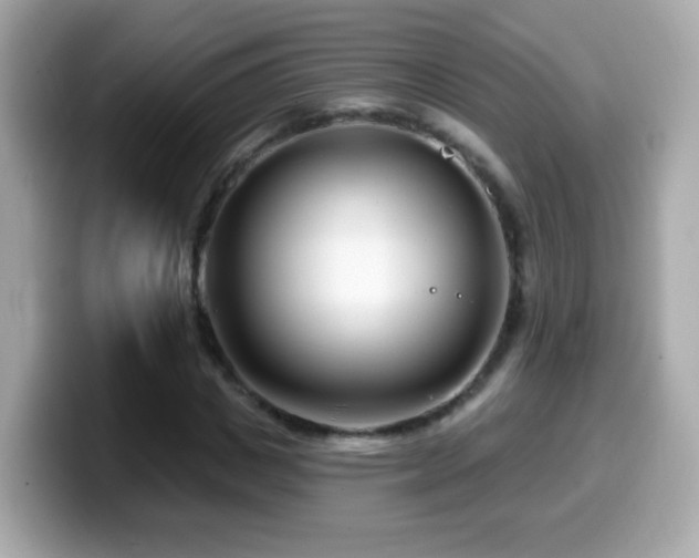X0000099960825200805231339