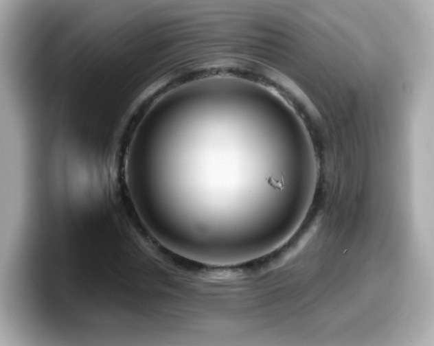 X0000099960826200805231339