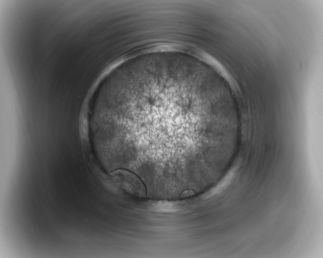 X0000099960827200805231339