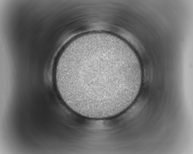 X0000099960828200805231339