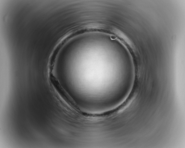 X0000099960829200805231339