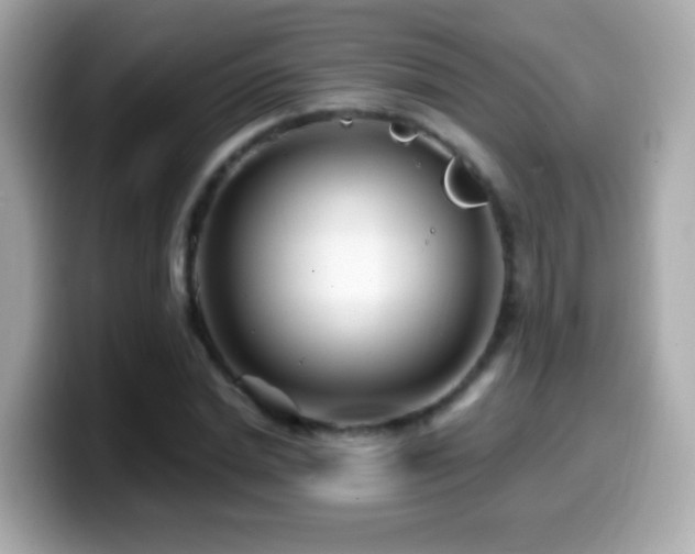 X0000099960830200805231339