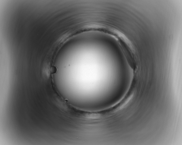 X0000099960833200805231339