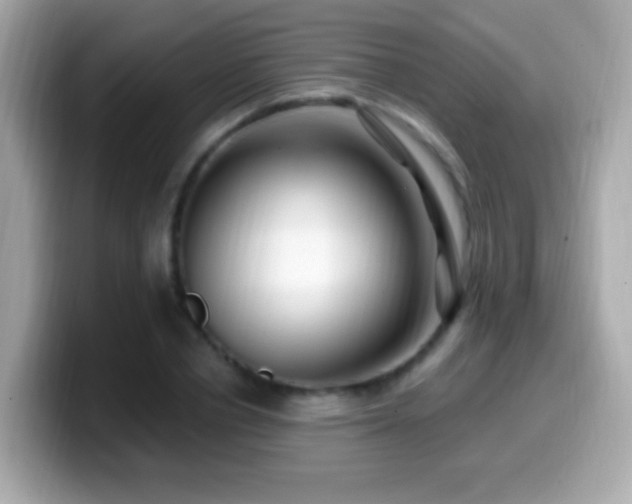 X0000099960834200805231339