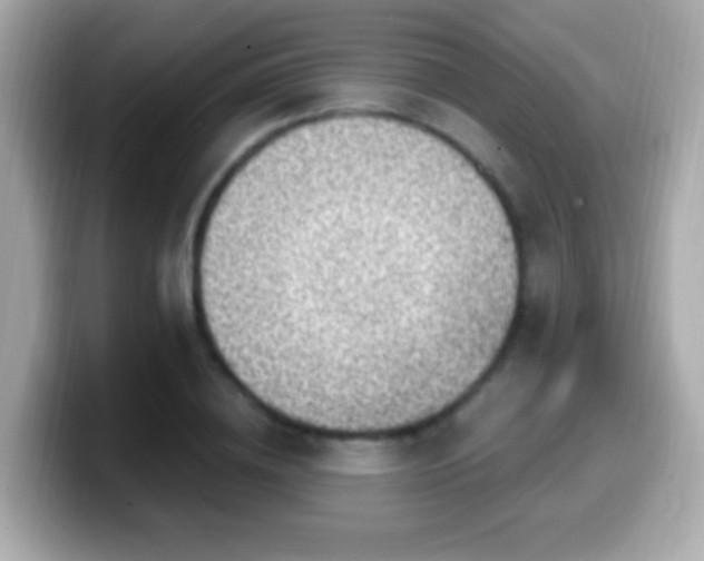 X0000099960836200805231339