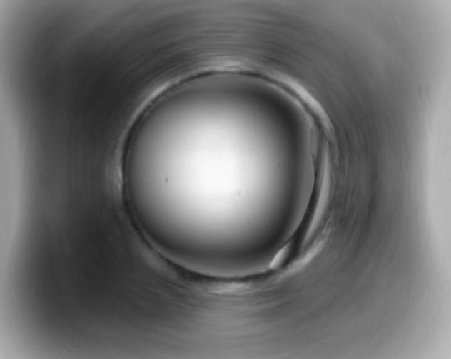 X0000099960837200805231339