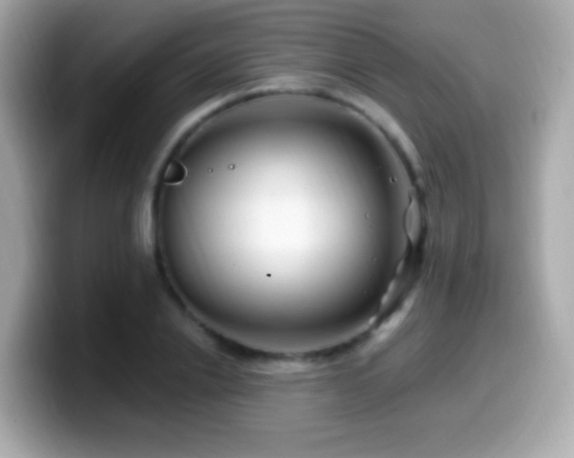 X0000099960838200805231339