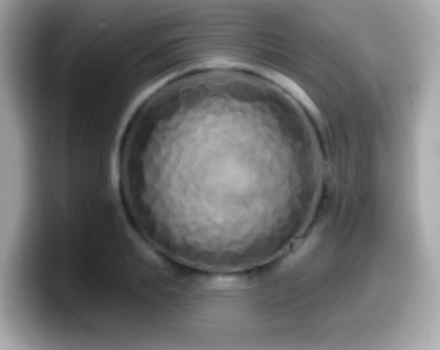 X0000099960839200805231339