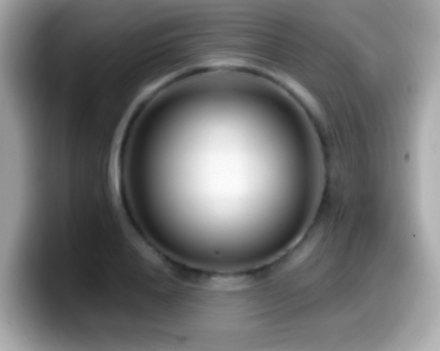 X0000099960840200805231340