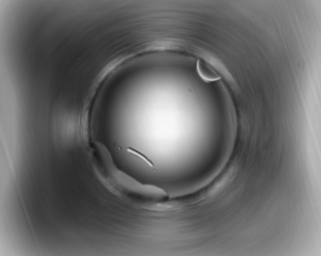 X0000099960842200805231340
