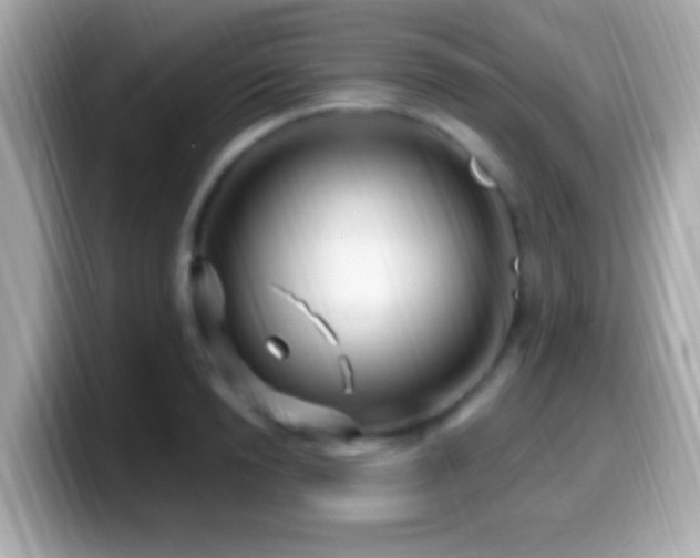 X0000099960846200805231340