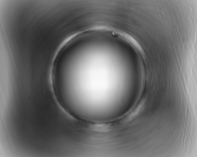 X0000099960847200805231340
