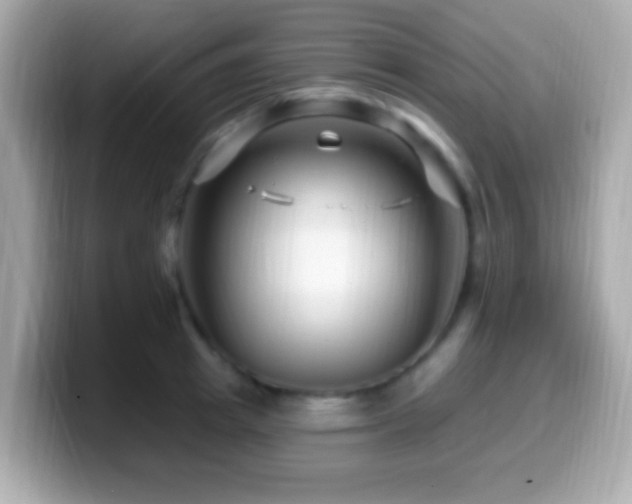 X0000099960849200805231340