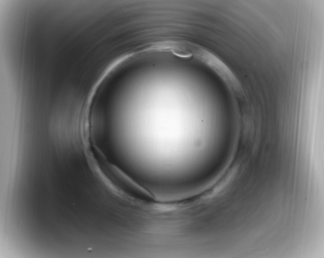 X0000099960852200805231340