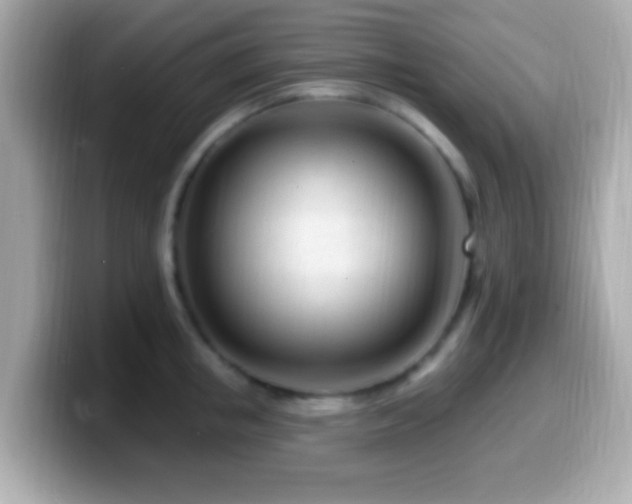 X0000099960853200805231340