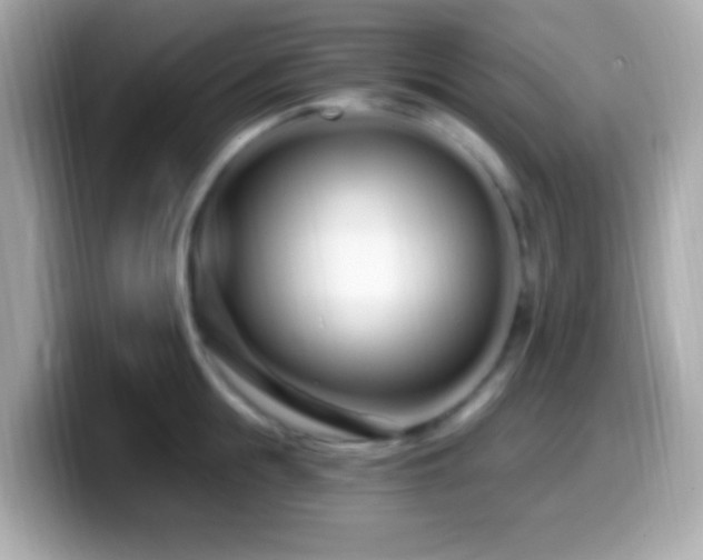 X0000099960855200805231340