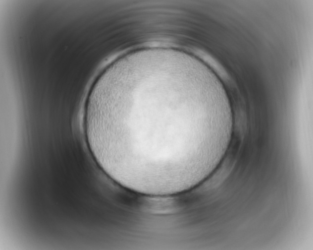 X0000099960856200805231340