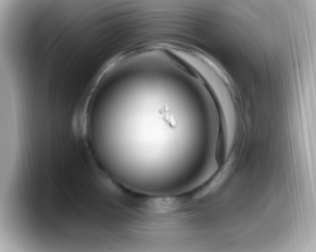 X0000099960858200805231340