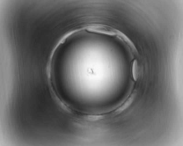 X0000099960860200805231340