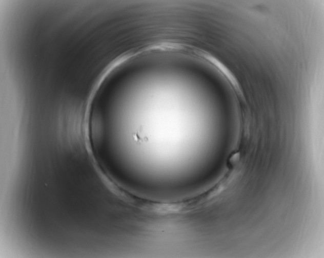 X0000099960861200805231340